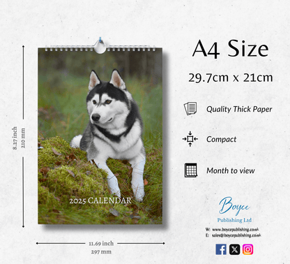 Siberian Husky Calendar 2025