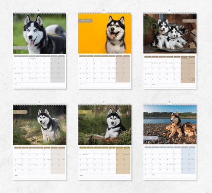 Siberian Husky Calendar 2025