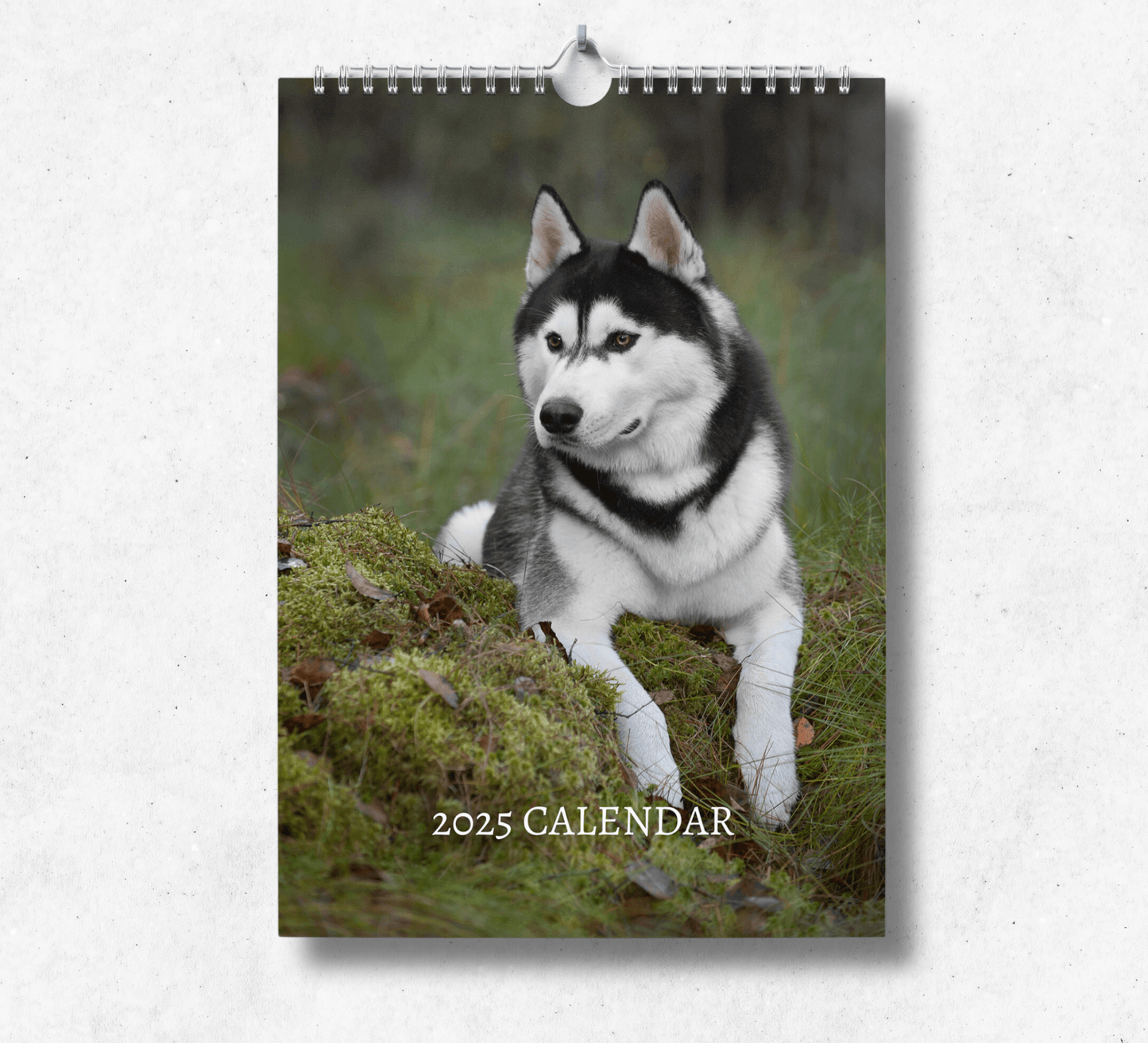 2025 Siberian Husky calendar featuring a black and white husky laying down over a moss cover rock in a field.