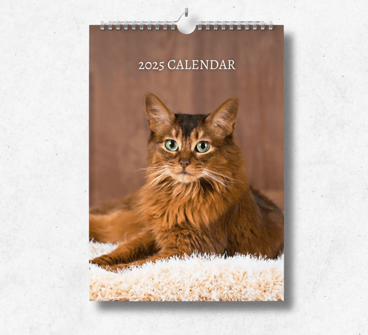 2025 Somali cat calendar, with a wire binding and hanger, featuring a brown somali cat with green eyes, laying on a white rug on a brown background.