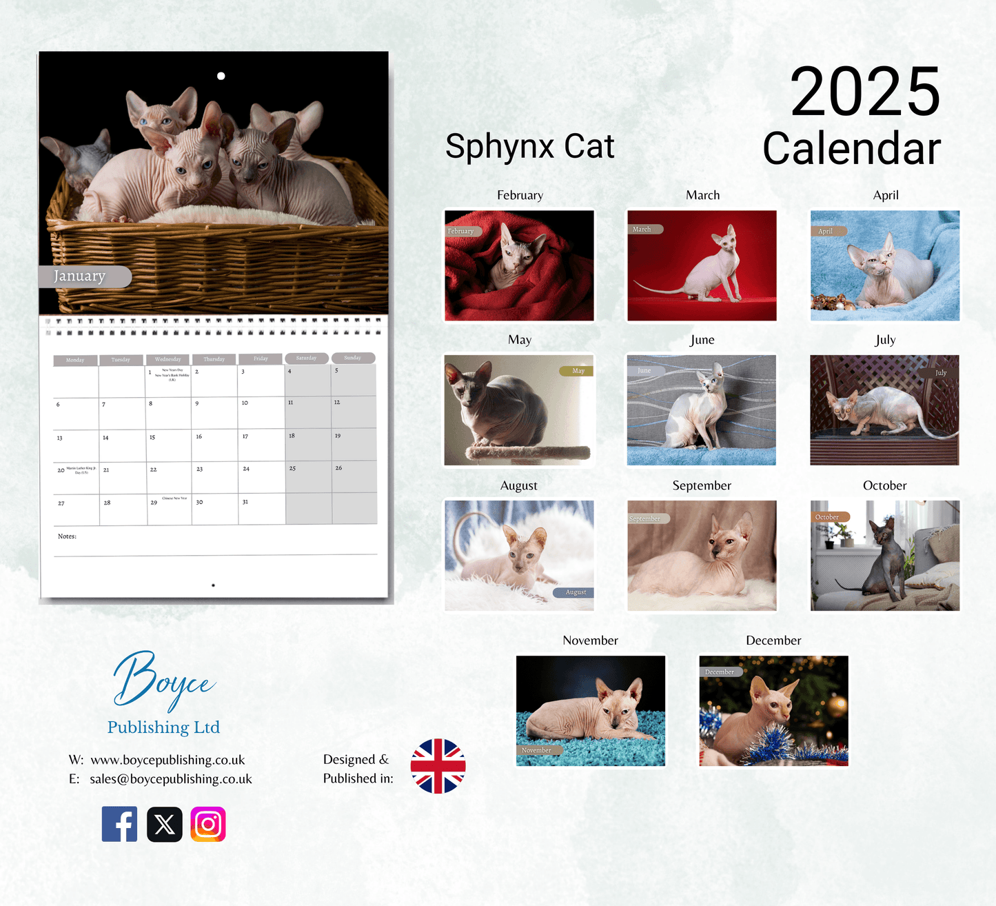 Sphynx Cat Calendar 2025