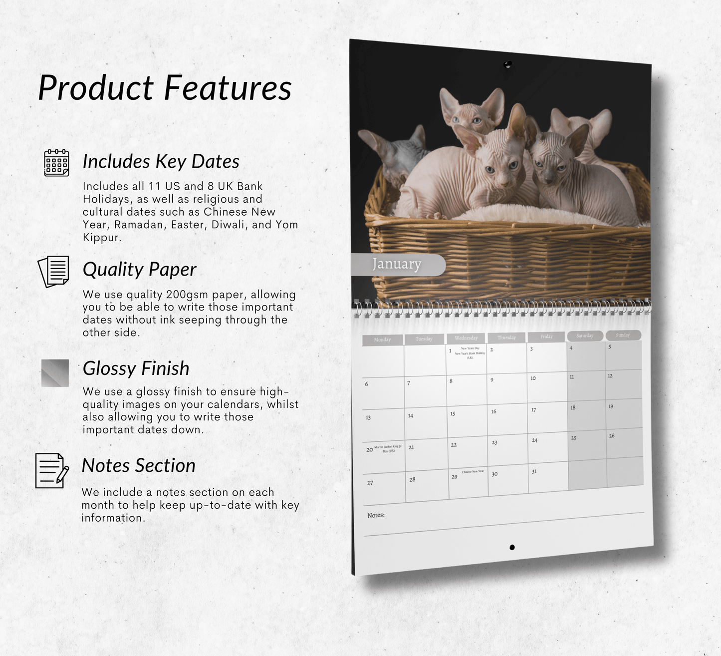 Sphynx Cat Calendar 2025