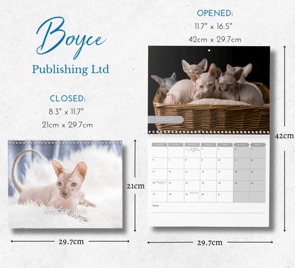 Sphynx Cat Calendar 2025