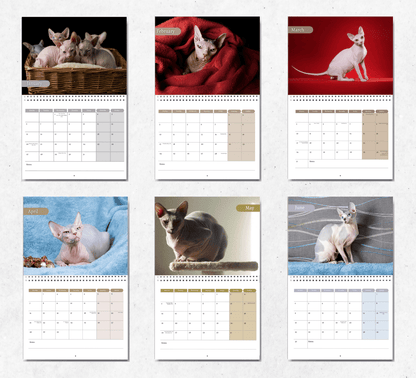 Sphynx Cat Calendar 2025