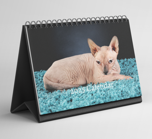 Sphynx Cat Desk Calendar 2025