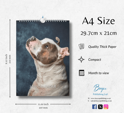 Staffordshire Bull Terrier Calendar 2025