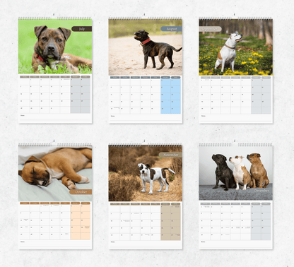 Staffordshire Bull Terrier Calendar 2025