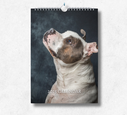 2025 staffordshire bull terrier calendar, with a wire binding and hanger, featuring a white staffie looking up to the top left with a black background.