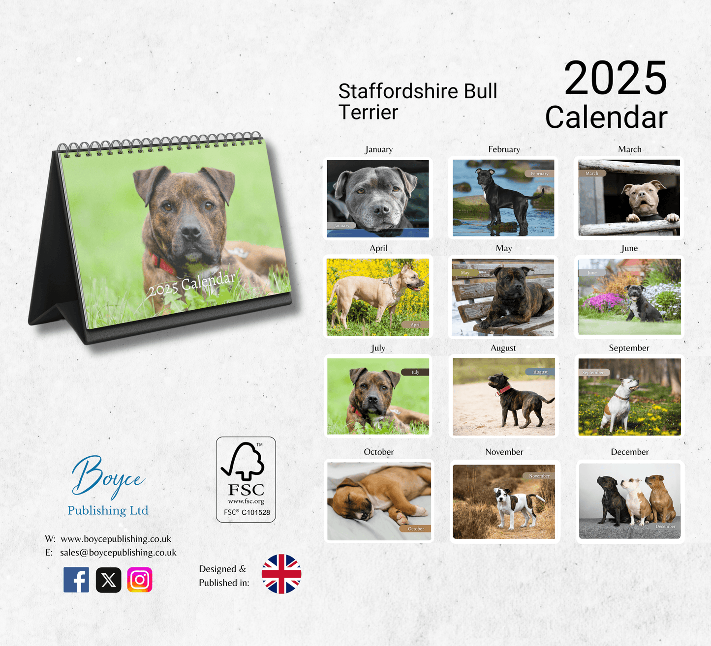 Staffordshire Bull Terrier Desk Calendar 2025