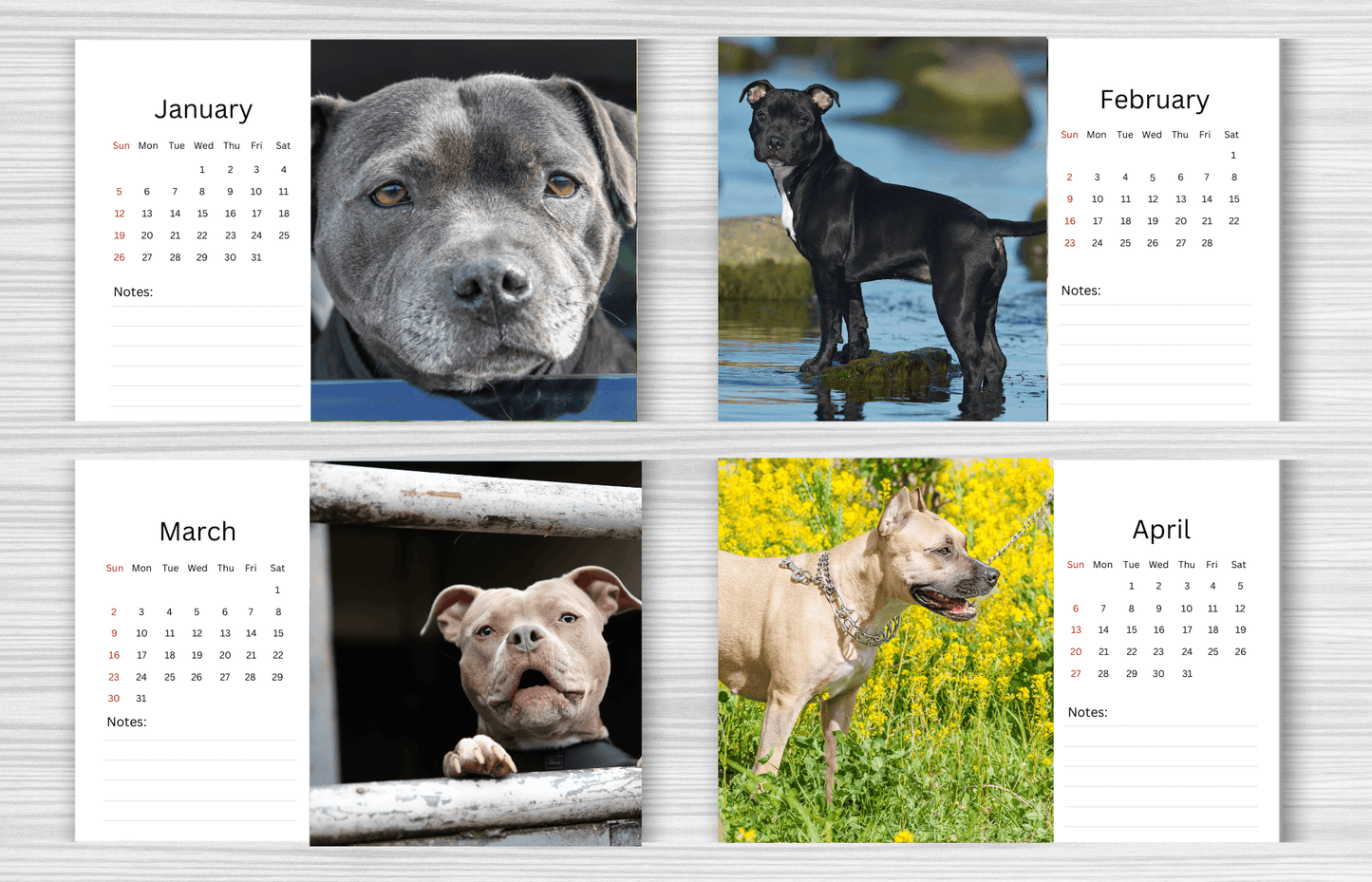 Staffordshire Bull Terrier Desk Calendar 2025