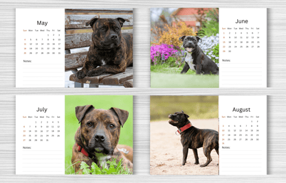 Staffordshire Bull Terrier Desk Calendar 2025