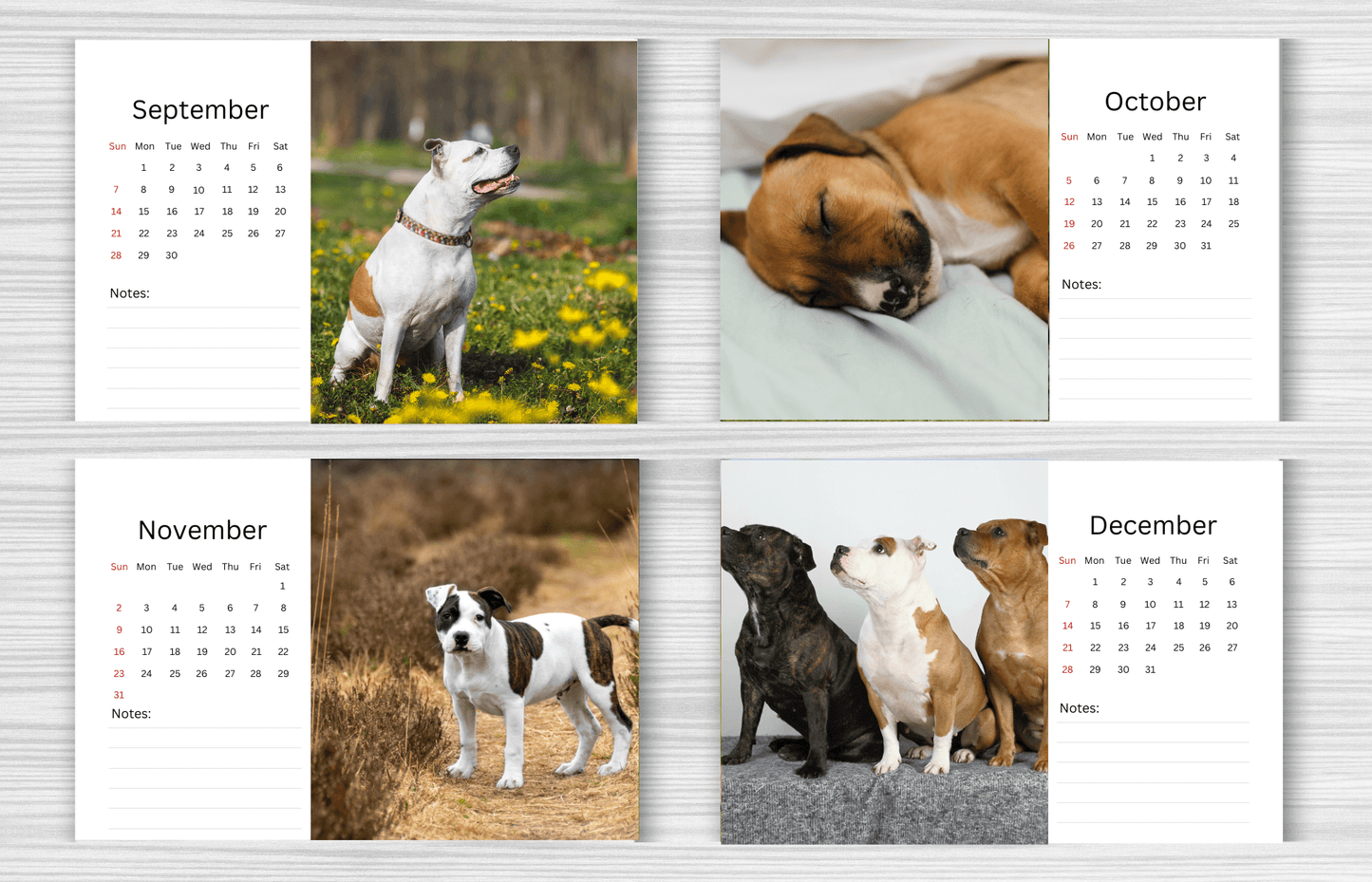 Staffordshire Bull Terrier Desk Calendar 2025