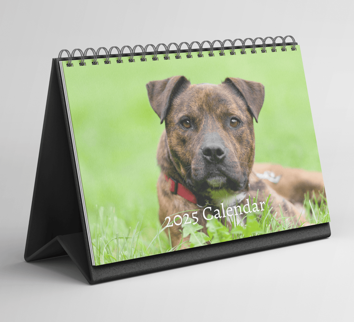 Staffordshire Bull Terrier Desk Calendar 2025