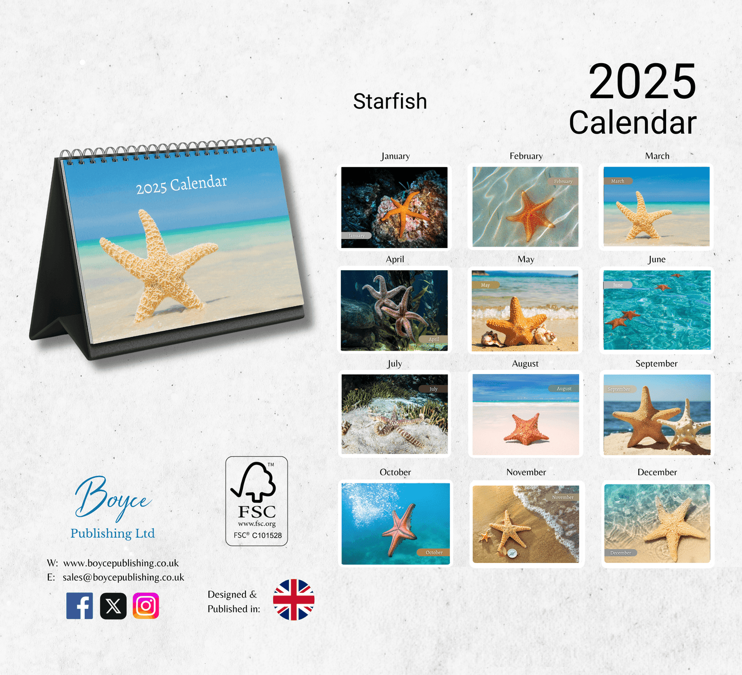 Starfish Desk Calendar 2025