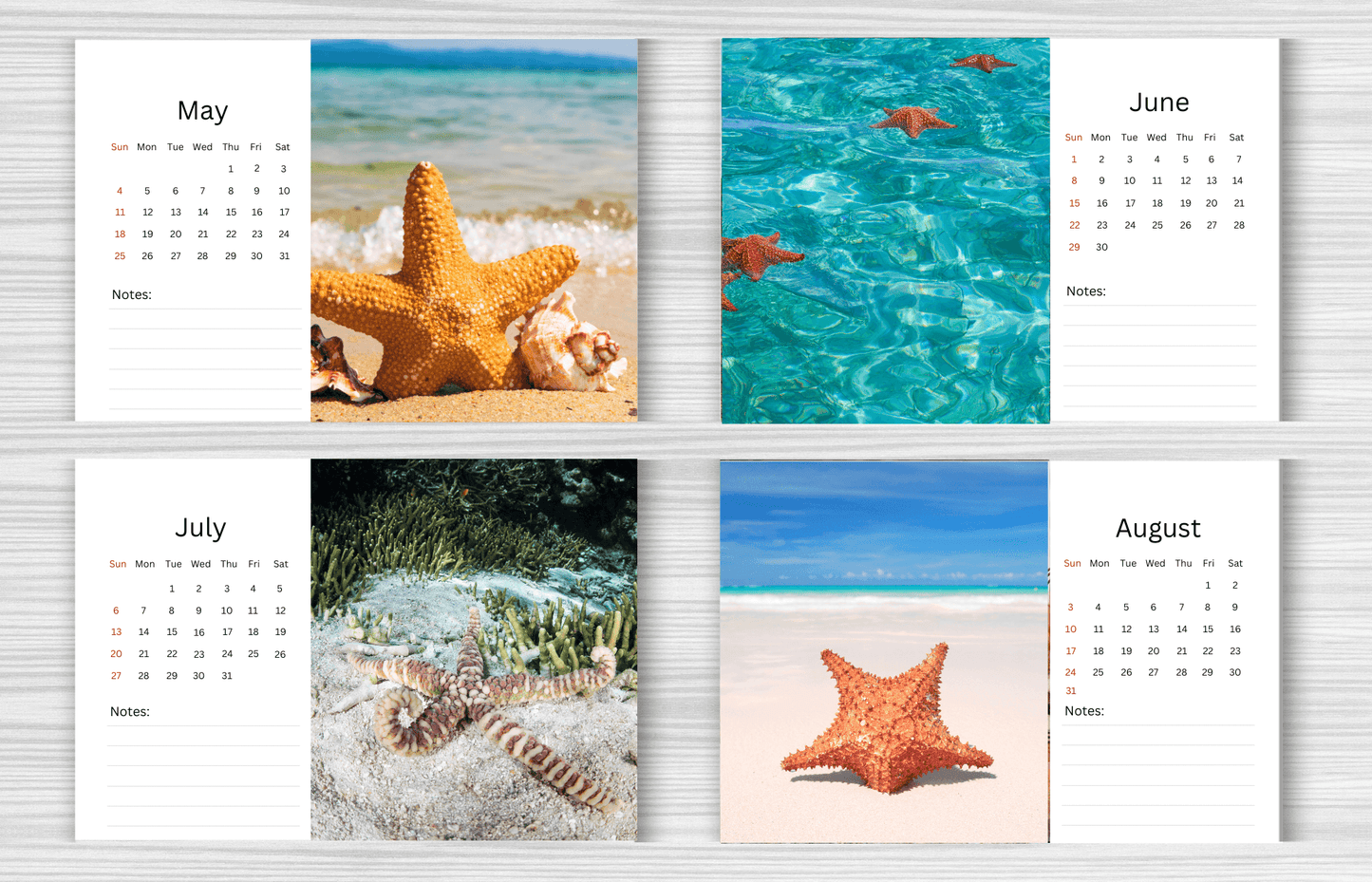 Starfish Desk Calendar 2025