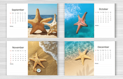 Starfish Desk Calendar 2025