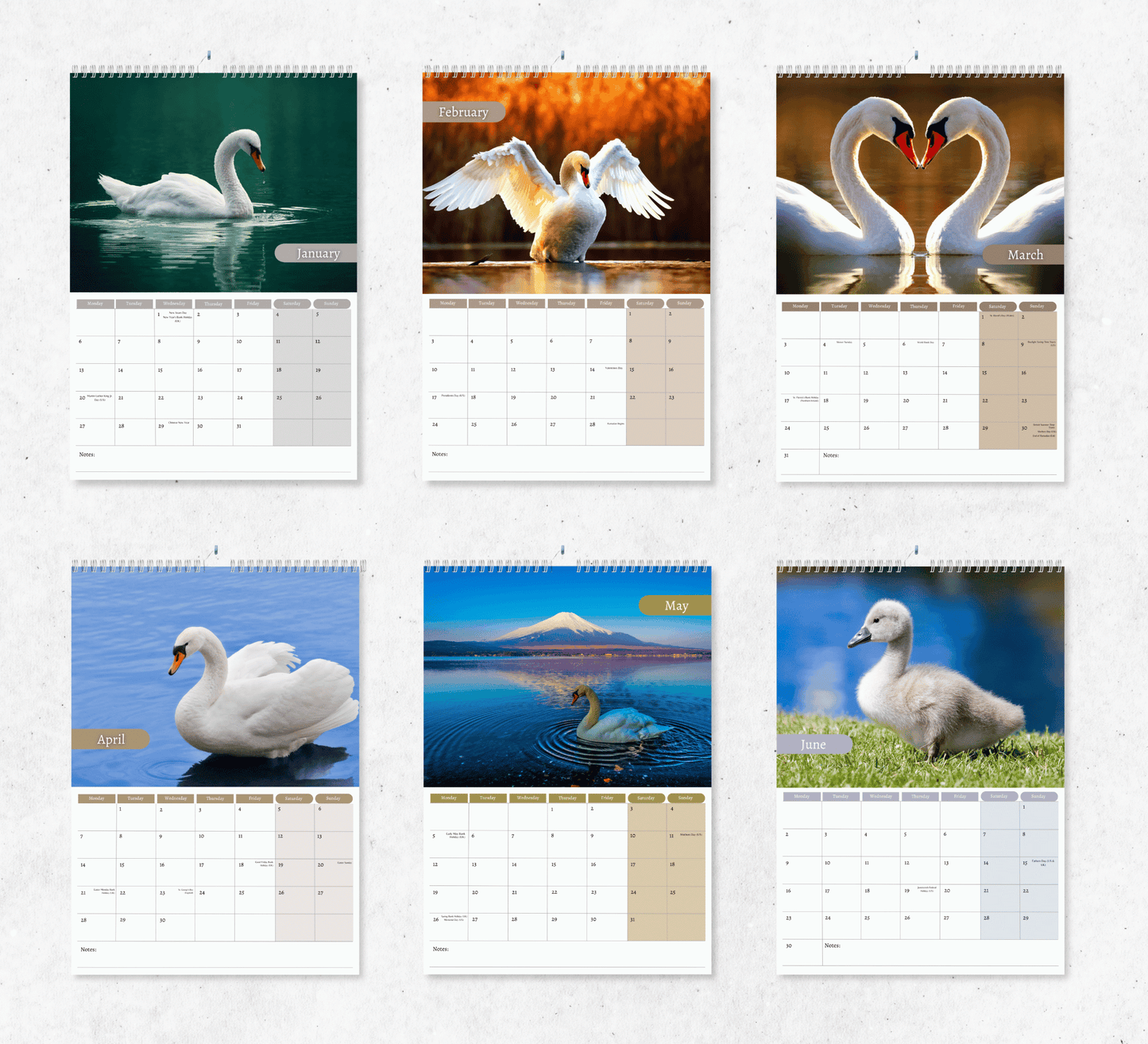 Swan Calendar 2025