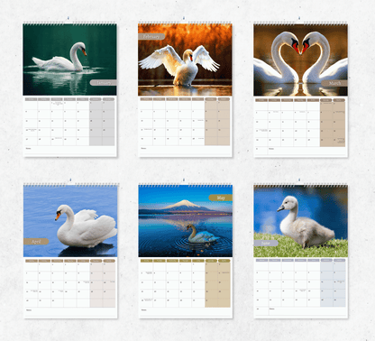 Swan Calendar 2025