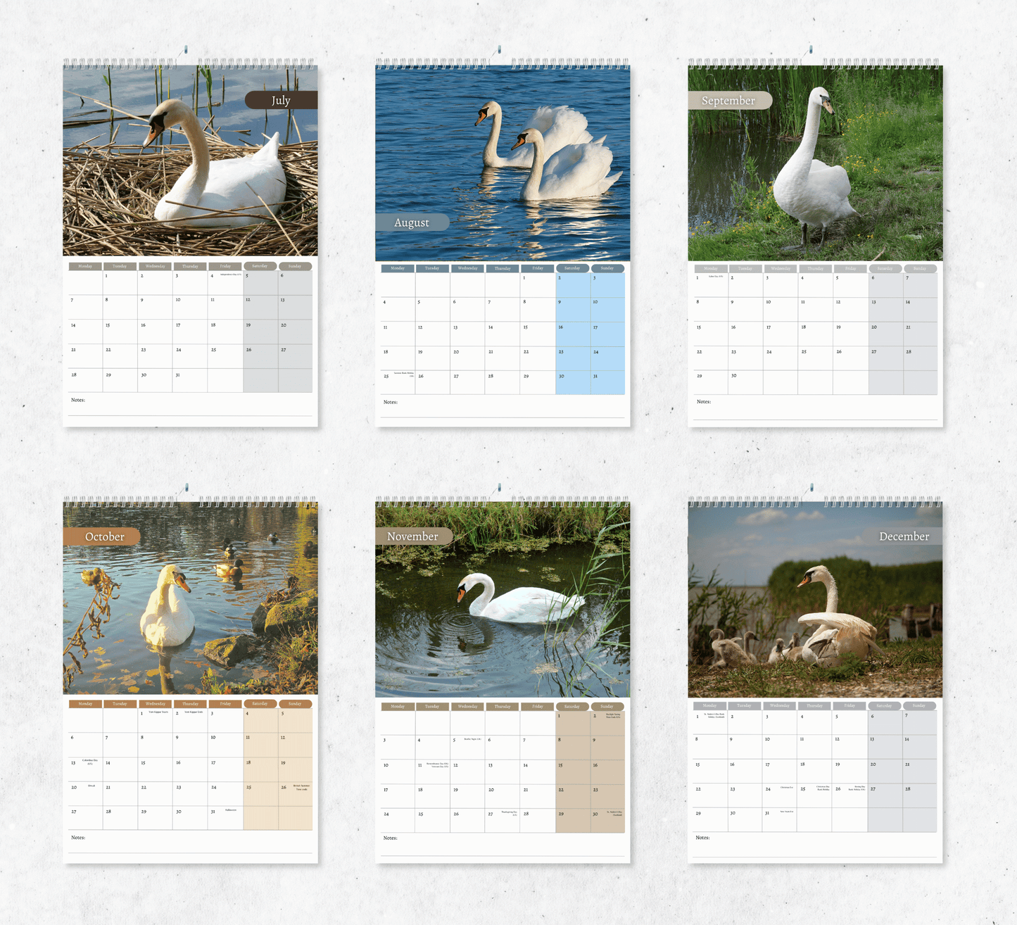 Swan Calendar 2025