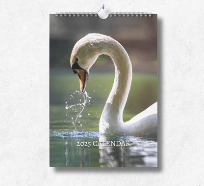 2025 Swan calendar with a wire binding and hanger, featuring a swan mid-shot having just lifted  their head from the water, showing a splash back.