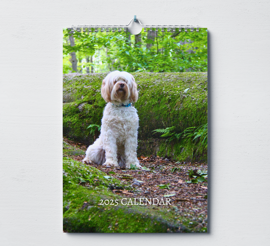 Tibetan Terrier Calendar 2025