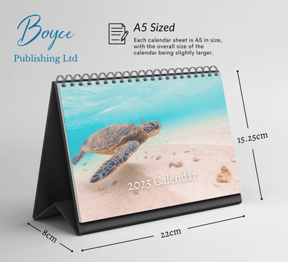 Turtle Desk Calendar 2025