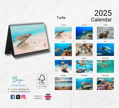 Turtle Desk Calendar 2025