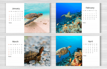 Turtle Desk Calendar 2025