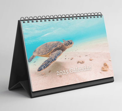 Turtle Desk Calendar 2025