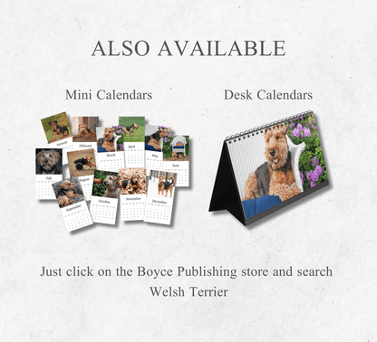 Welsh Terrier Calendar 2025