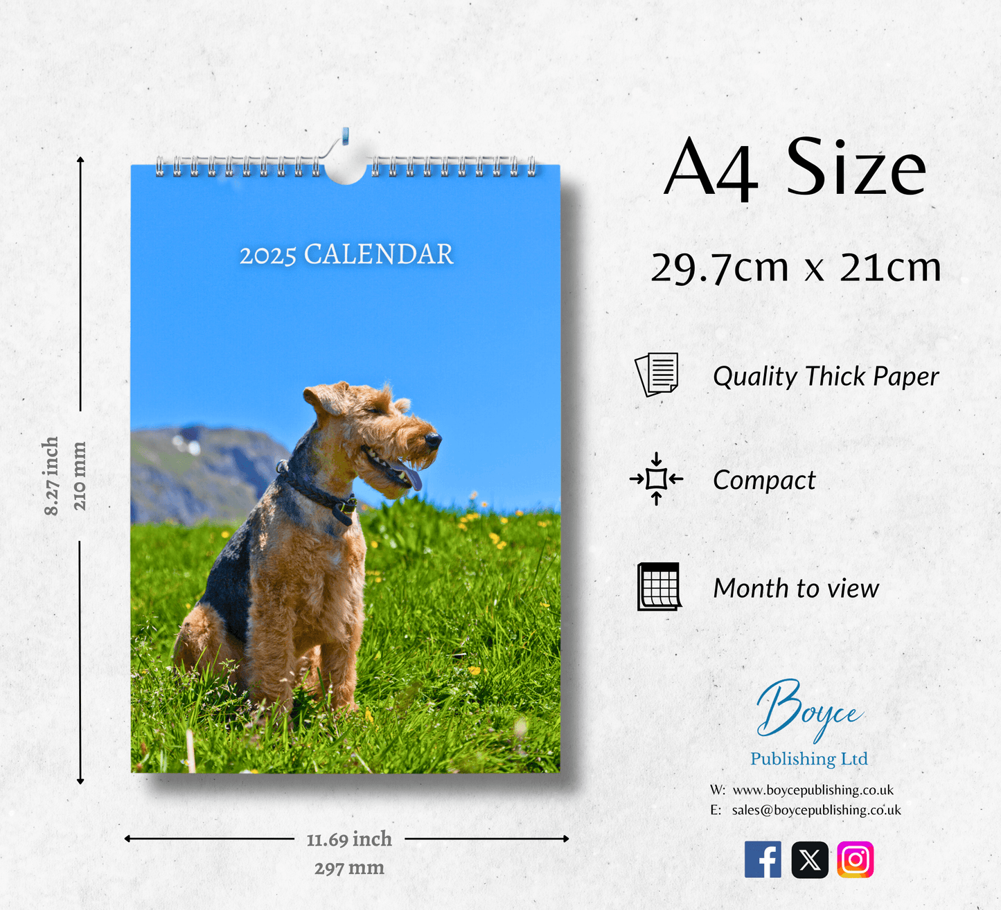 Welsh Terrier Calendar 2025