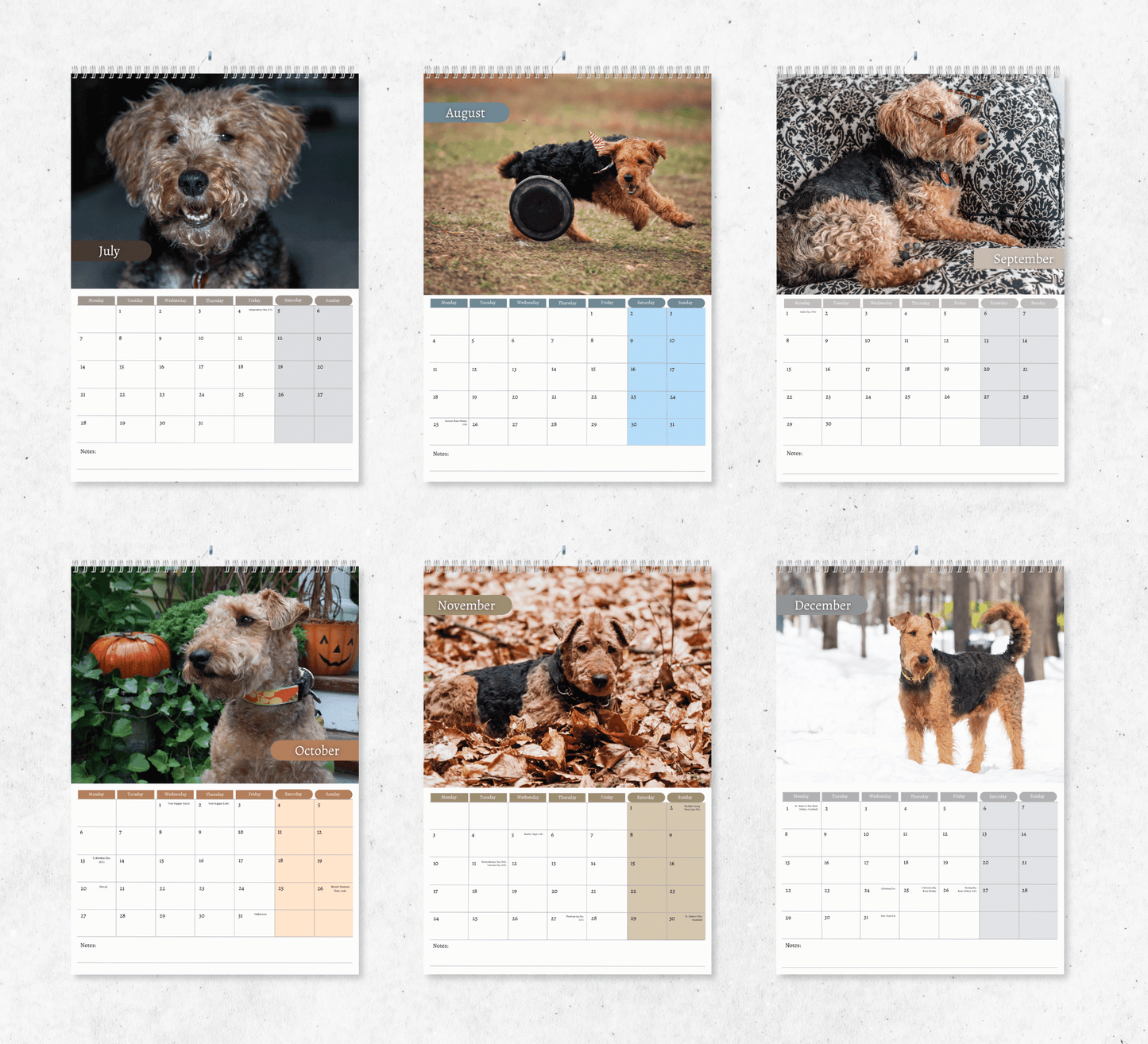 Welsh Terrier Calendar 2025