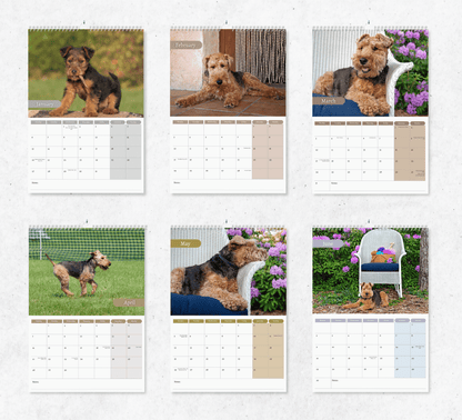 Welsh Terrier Calendar 2025