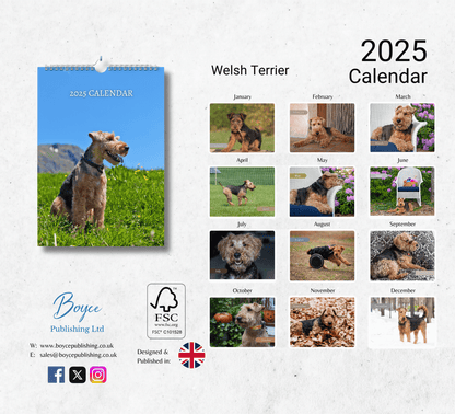 Welsh Terrier Calendar 2025