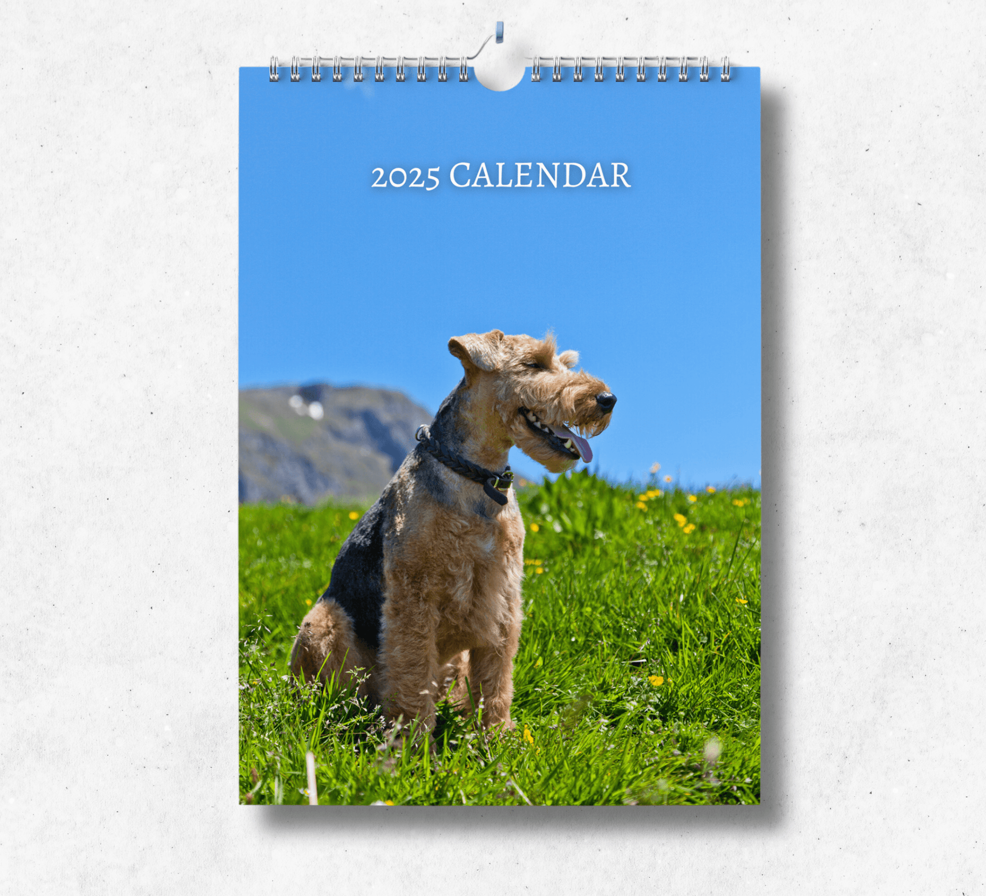 A large A4 welsh terrier calendar, with a wire binding and hanger, featuring a beautiful welsh terrier standing in a field of grass with a clear blue sky background.