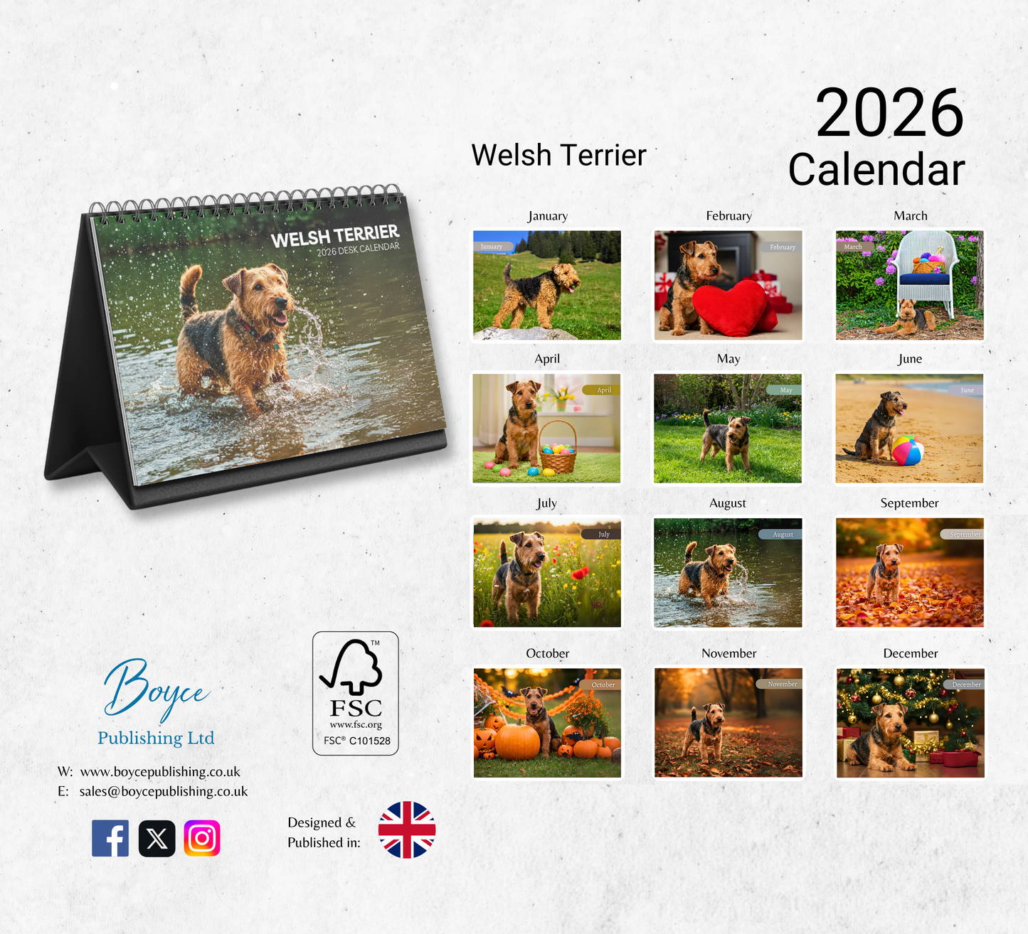 Welsh Terrier Desk Calendar 2026-2027