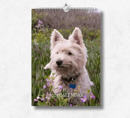 A large A4 west highland terrier calendar, with a wire binding and hanger, featuring a beautiful westie standing in a field of grass with a few small purple flowers.