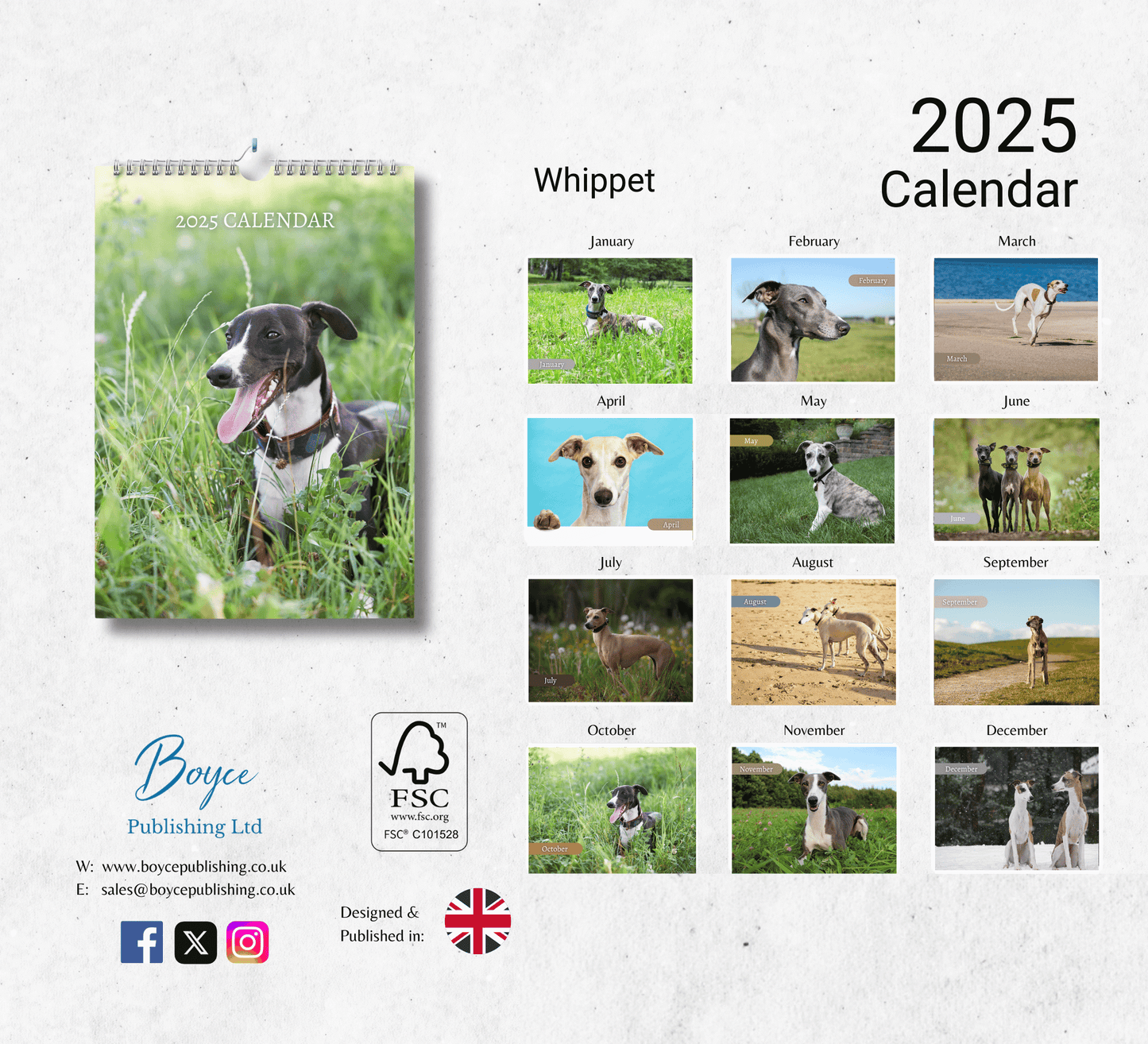 Whippet Calendar 2025