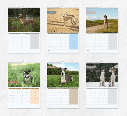 Whippet Calendar 2025