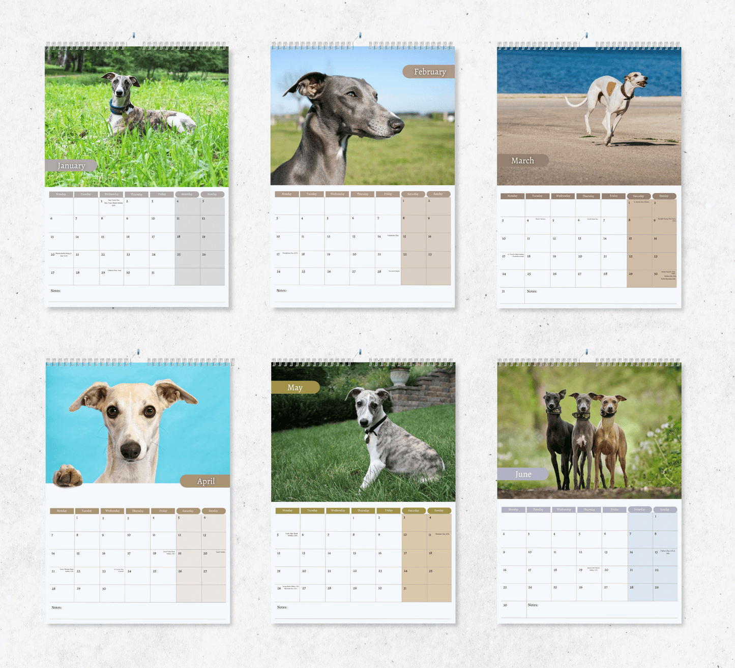 Whippet Calendar 2025