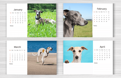 Whippet Desk Calendar 2025