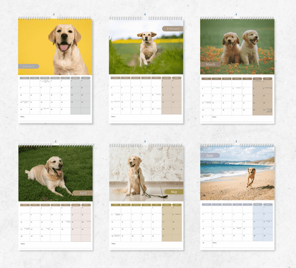 A calendar with six months displayed, each month featuring different yellow labrador retreiver images in various settings. The months shown are January to June with dates and days of the week below the images.