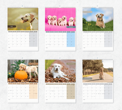 A calendar featuring six months from July to December, each month displaying a photograph of yellow labradors in different natural settings, with dates and notes sections.